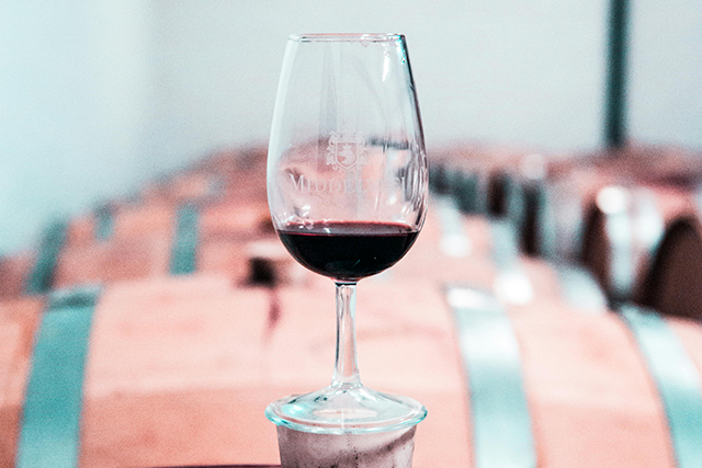 Vino